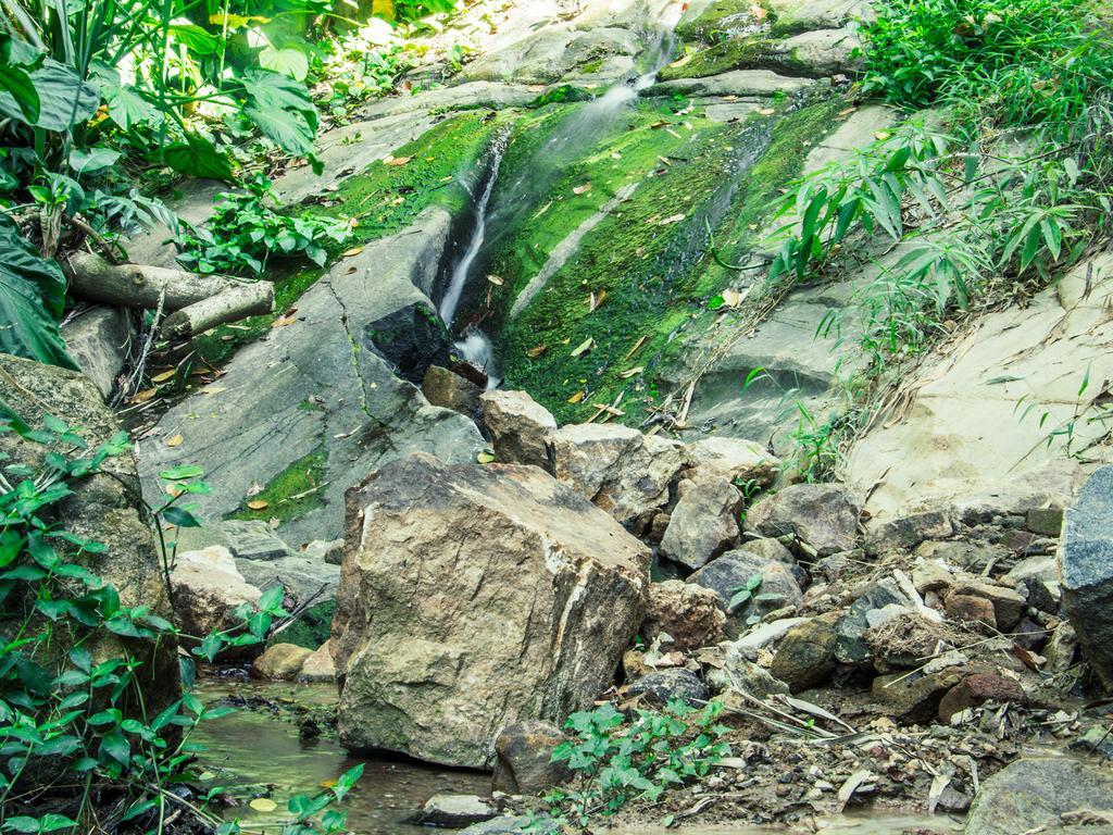 Aronka Homestay Kandy Exterior photo